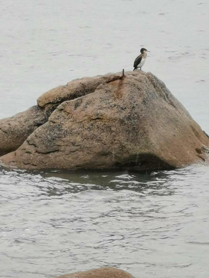 La Fregate Blanche Βίλα Concarneau Εξωτερικό φωτογραφία